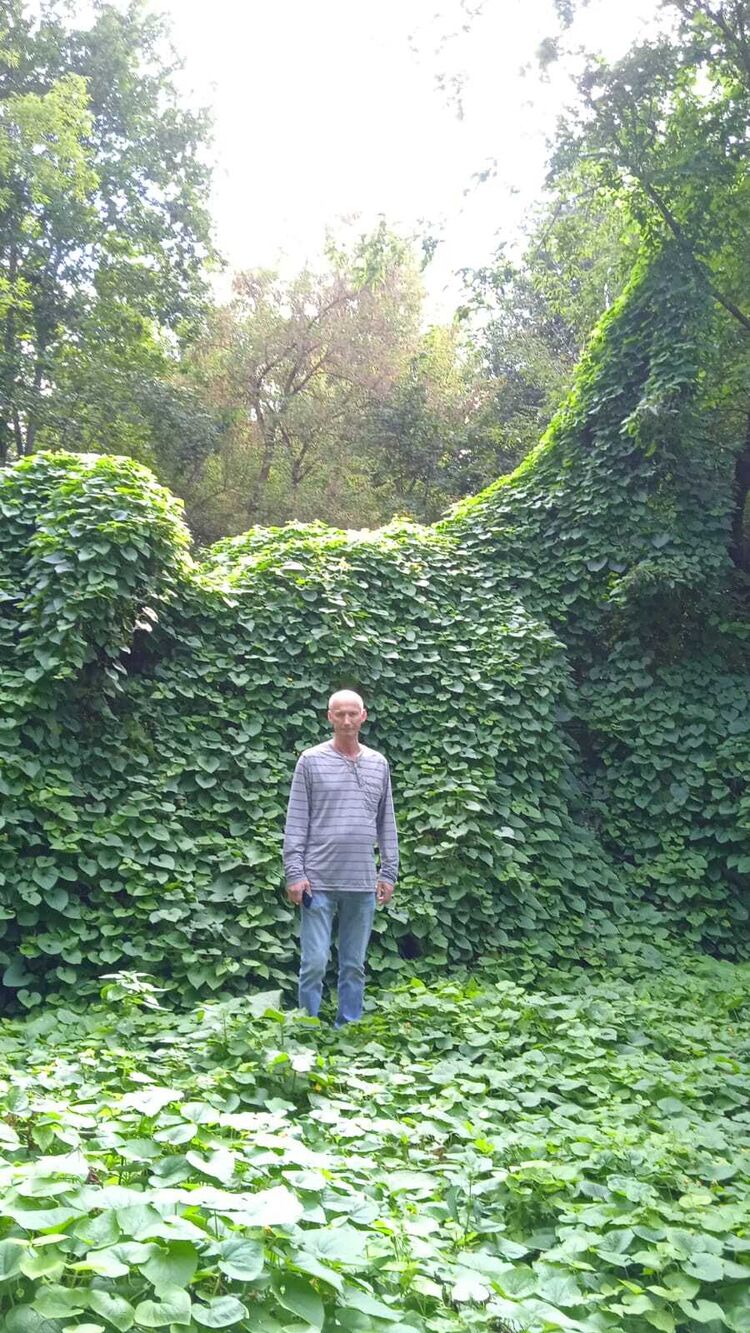  ,   , 54 ,     , c 