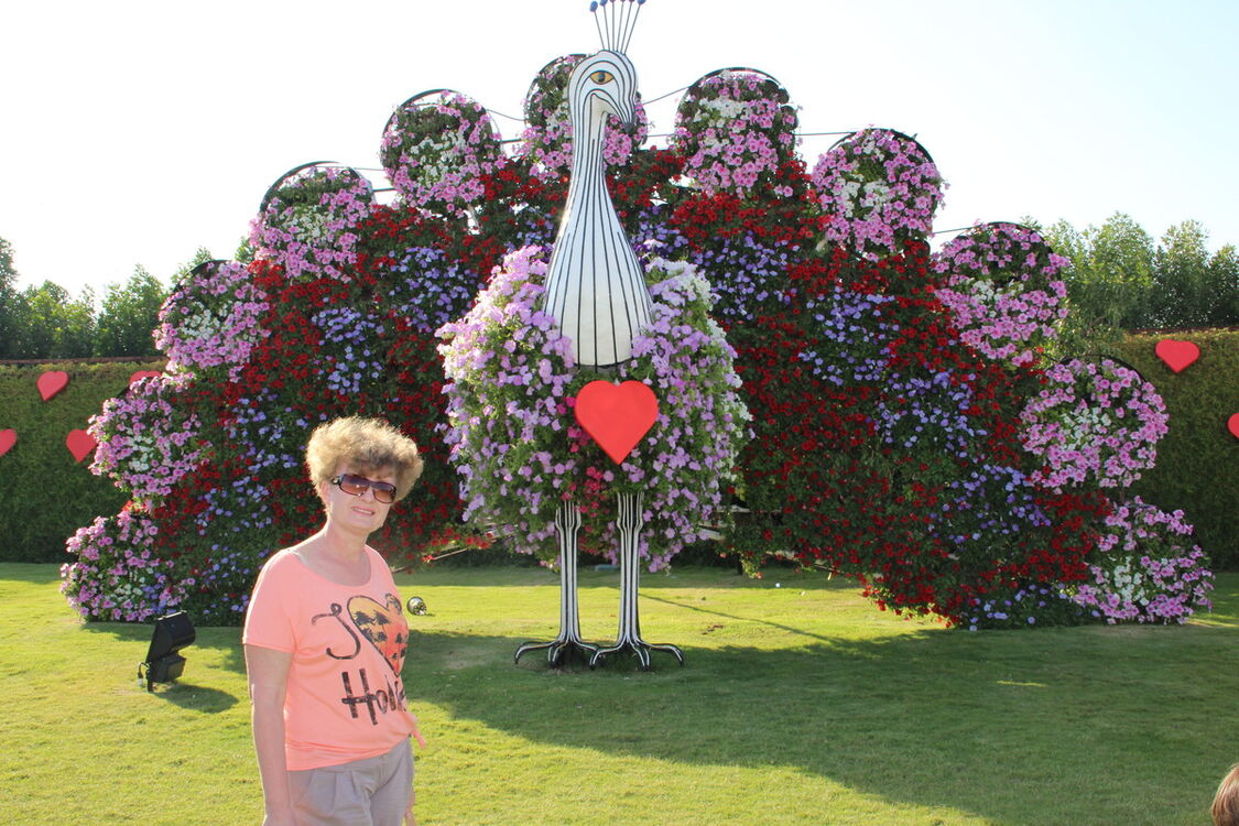 ���������� ���������, ���� ������� ���, 58 ���, ������������ ��� ������, ����� � ���������, c�������� ���������