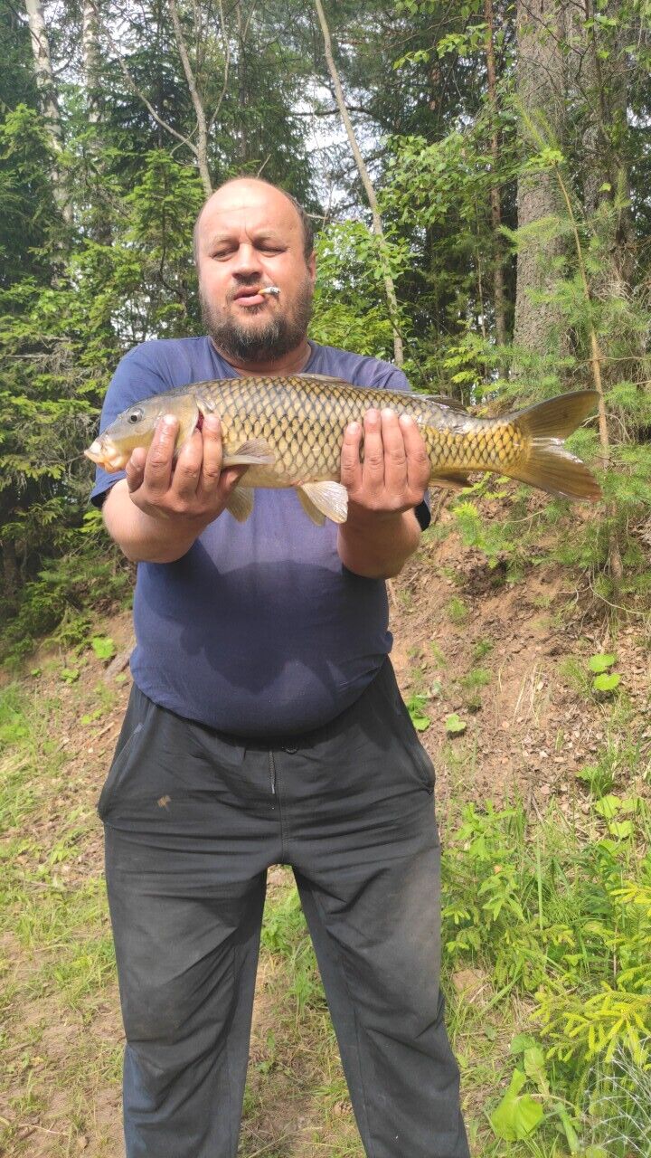 ,   , 43 ,   c 