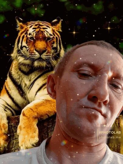 ���� 25518505 ������� ������, 48 ���, ���� ���������� � ���������