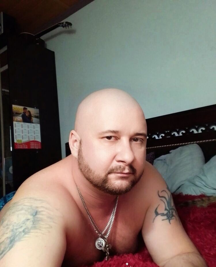  49205805  , 41 ,    