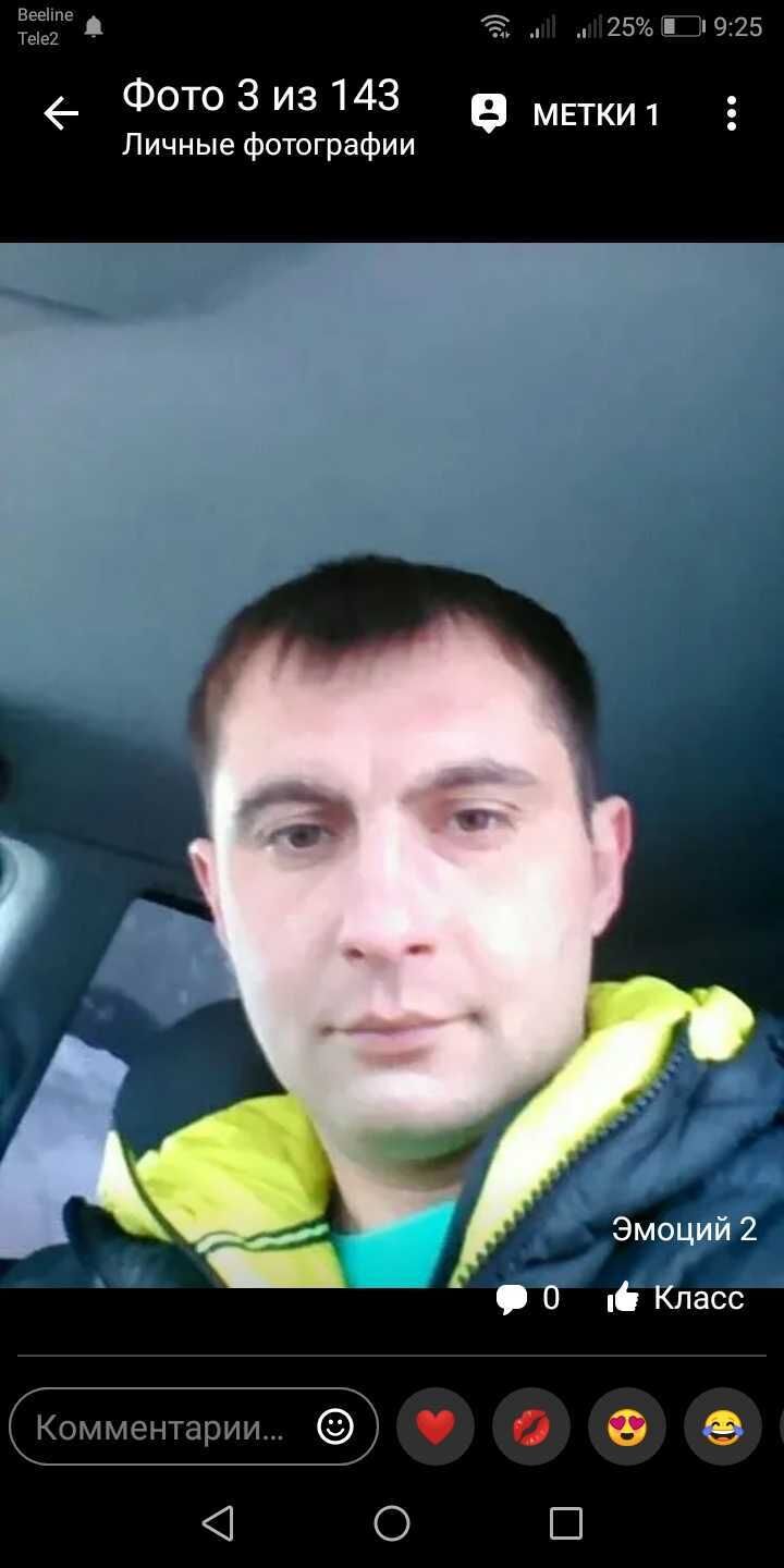  31386555  , 41 ,    
