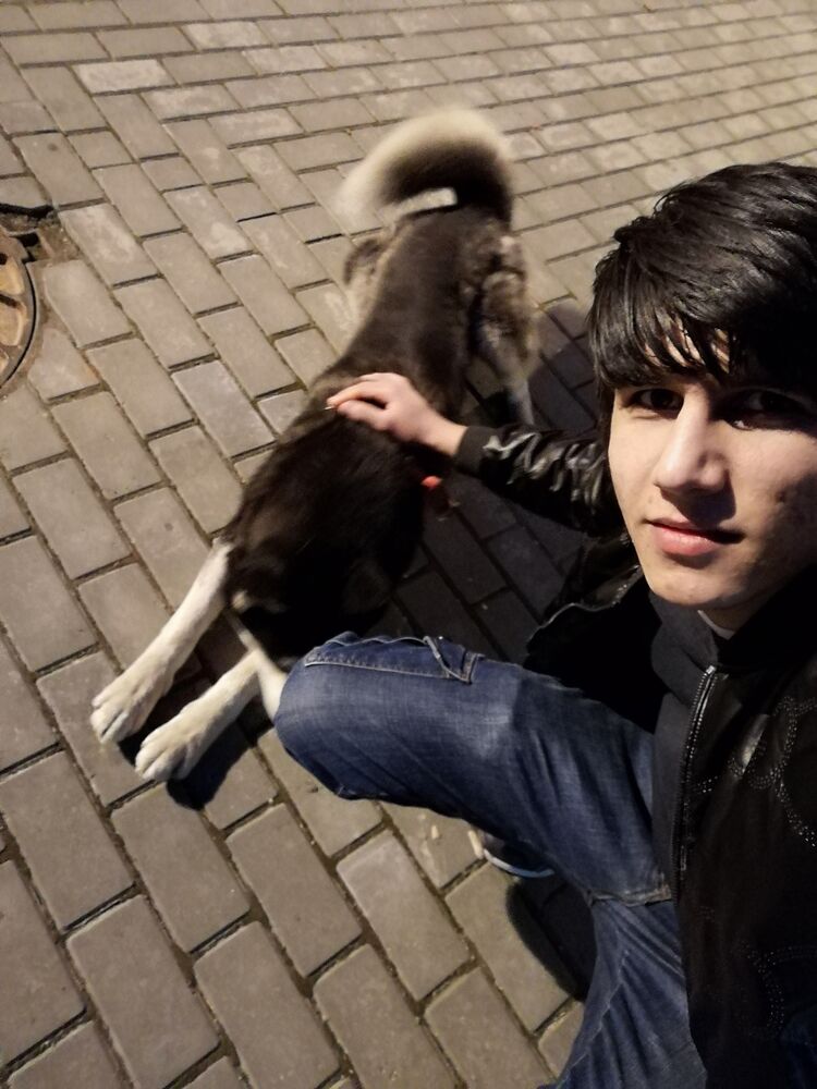 ���� 53227865 ����� ����, 24 ����, ���� ���������� � ���������