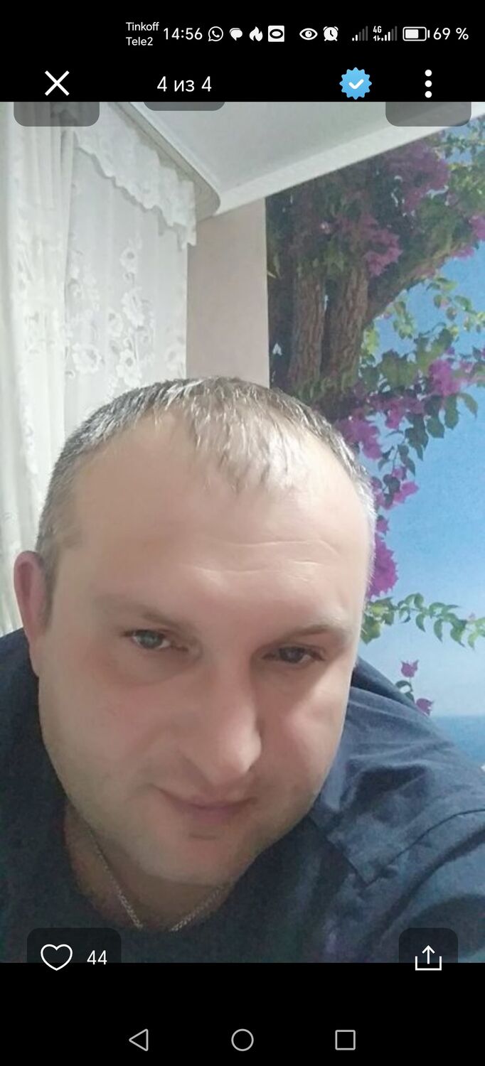  50201865  , 43 ,    