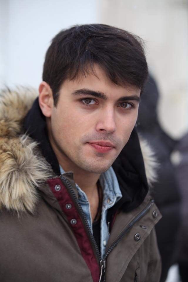  ,   Bear, 41 ,   ,   , c , 
