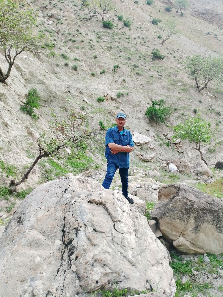  50966755  Zohir, 53 ,    