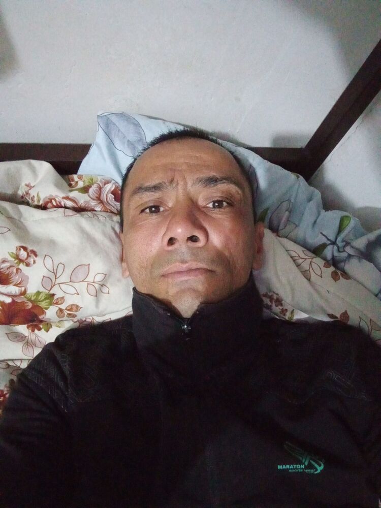  52835115  , 40 ,    