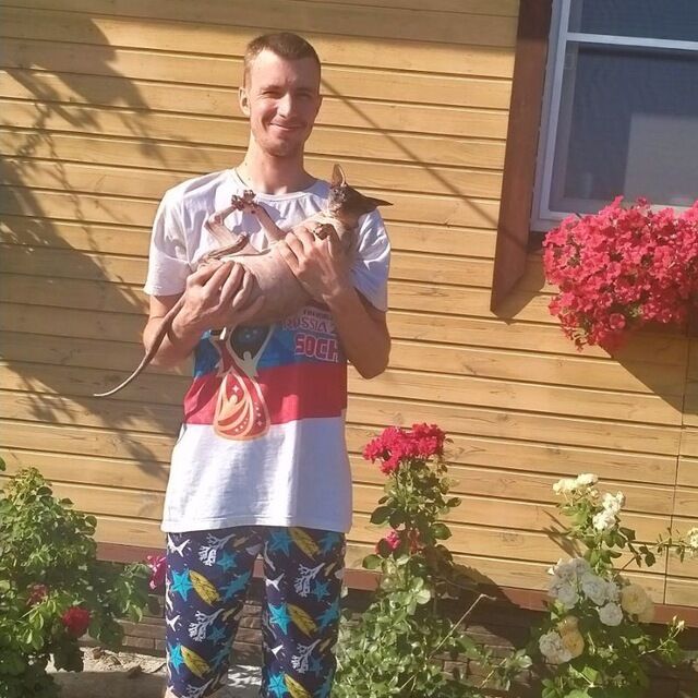 ���� 44433265 ������� �����, 33 ����, ���� ���������� � �����-����������