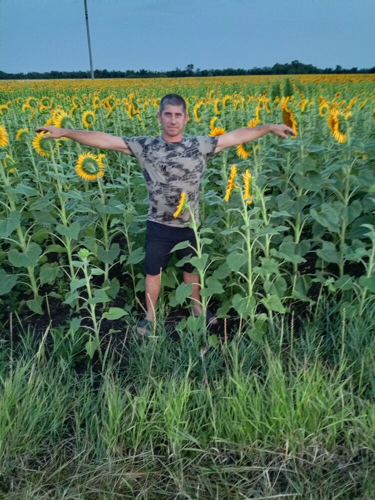  47393215  , 40 ,    --