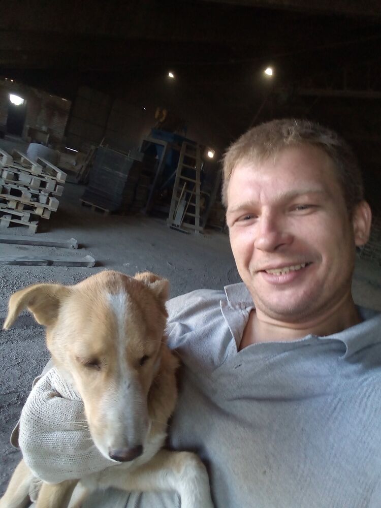 ���� 23923595 ������� ������, 36 ���, ���� ���������� � ����������