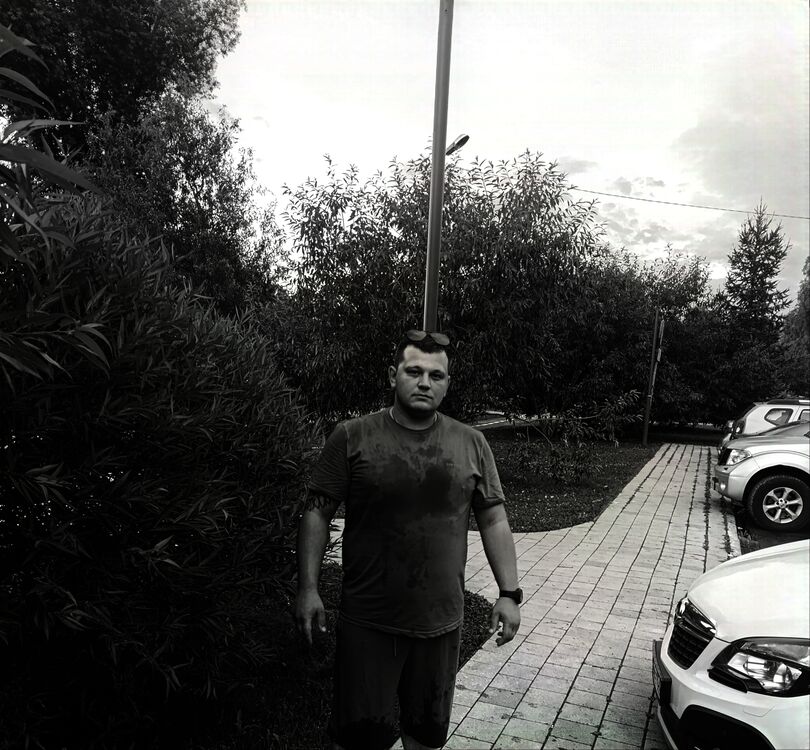 ���� 52596495 ������� �������, 30 ���, ���� ���������� � ��������