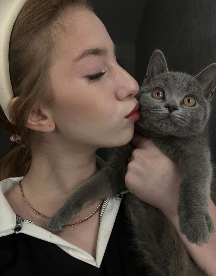 ���������� ������-��-����, ���� ������� ����, 24 ����, ������������ ��� c�������� ���������