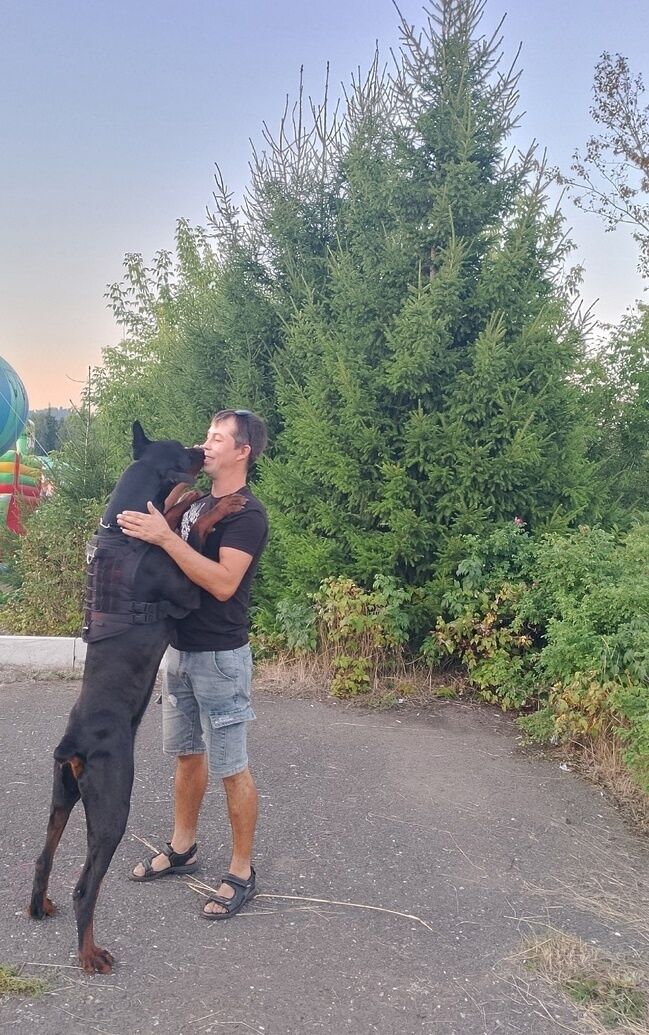 ���������� ���������, ���� ������� �����, 31 ���, ������������ ��� ������, ����� � ���������