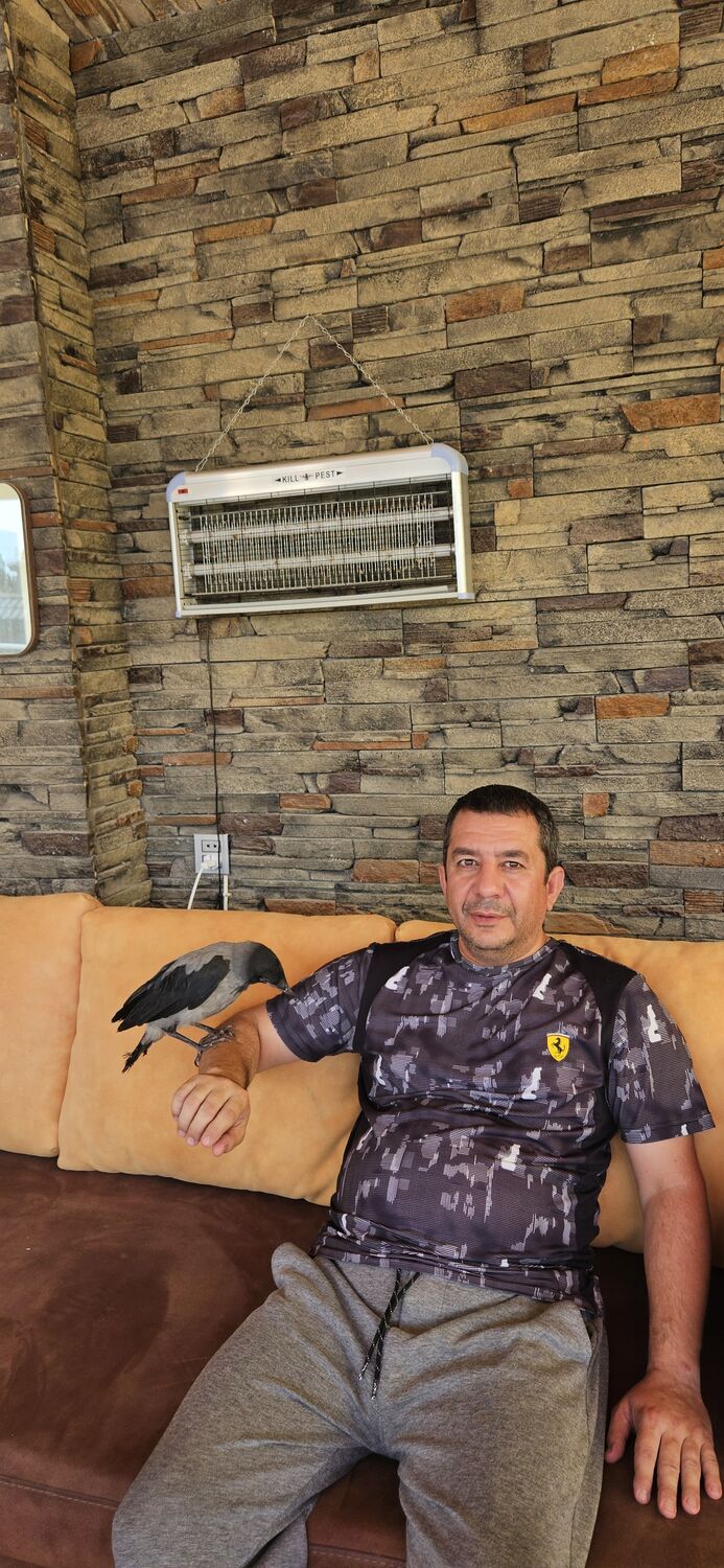 ���� 56044165 ������� ������, 49 ���, ���� ���������� � ����