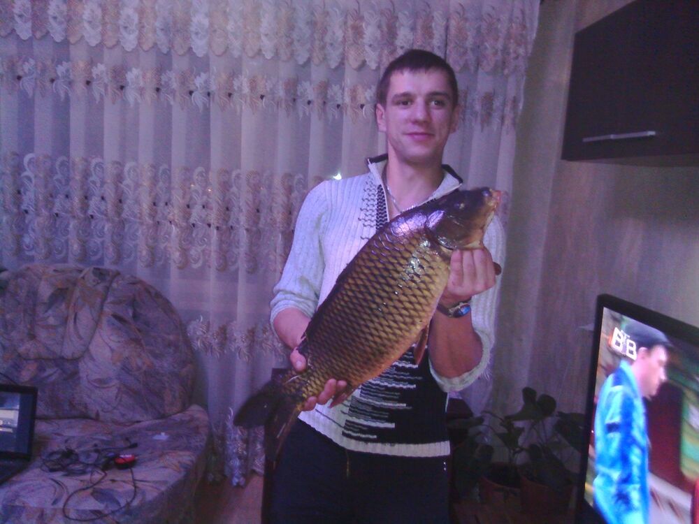 ���������� �����, ���� ������� ���������, 40 ���, ������������ ��� ������