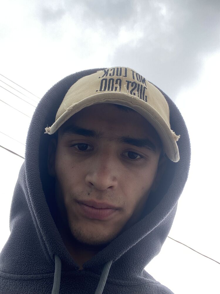  42132195  , 22 ,    