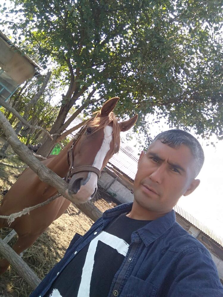 ���� 42746925 ������� ����, 40 ���, ���� ���������� � �����-����������