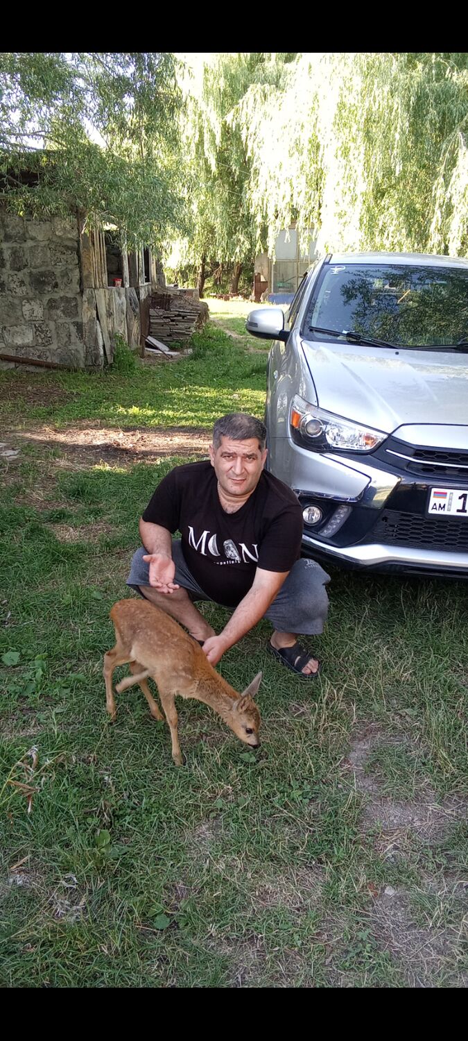 ���� 45157225 ������� Vaho, 39 ���, ���� ���������� � ������