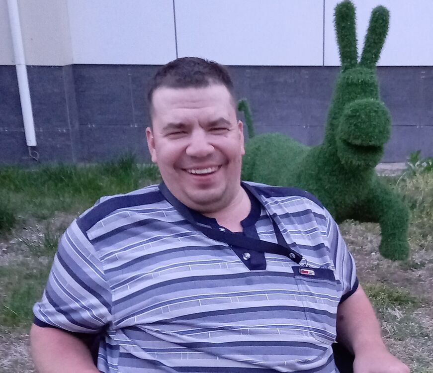 ���� 33543825 ������� �����, 40 ���, ���� ���������� � ���������