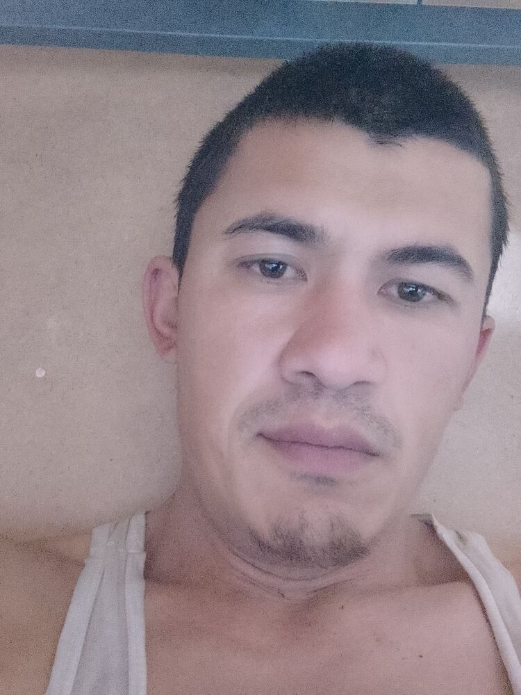  44043275  Otabek, 29 ,    