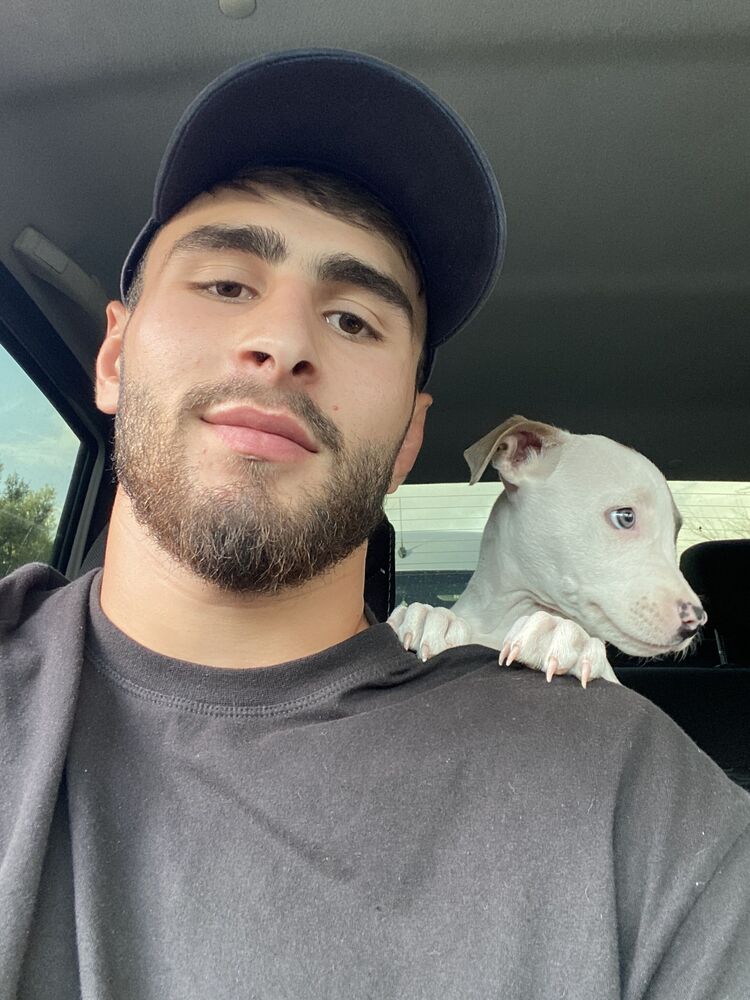  53779285  Aslan, 21 ,    