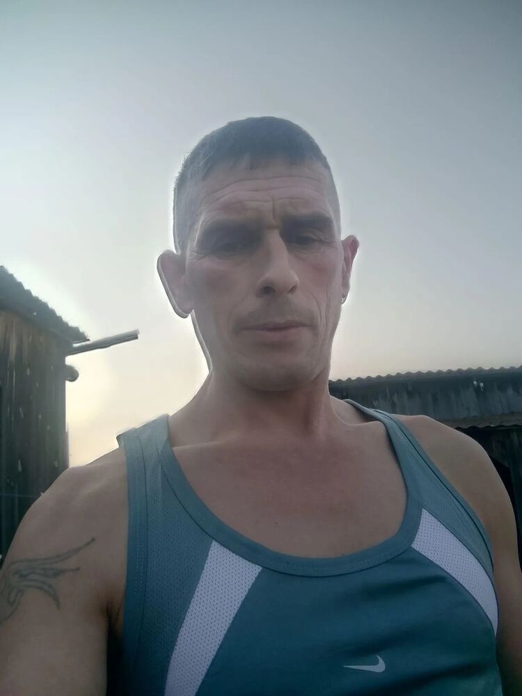  53157135  , 43 ,    