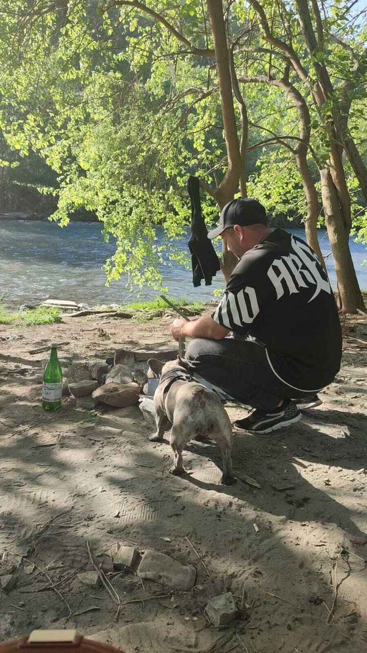 ���� 53994395 ������� ���������, 42 ����, ���� ���������� � ����