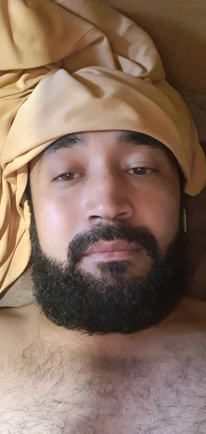  53095285  , 32 ,    