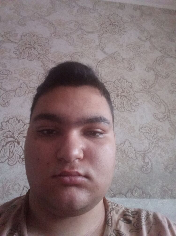  48028035  , 22 ,    