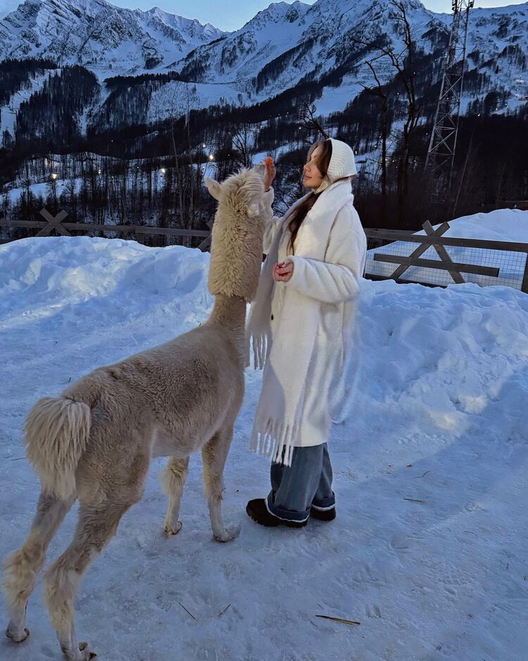 ���� 51535485 ������� �������, 26 ���, ���� ���������� � ������