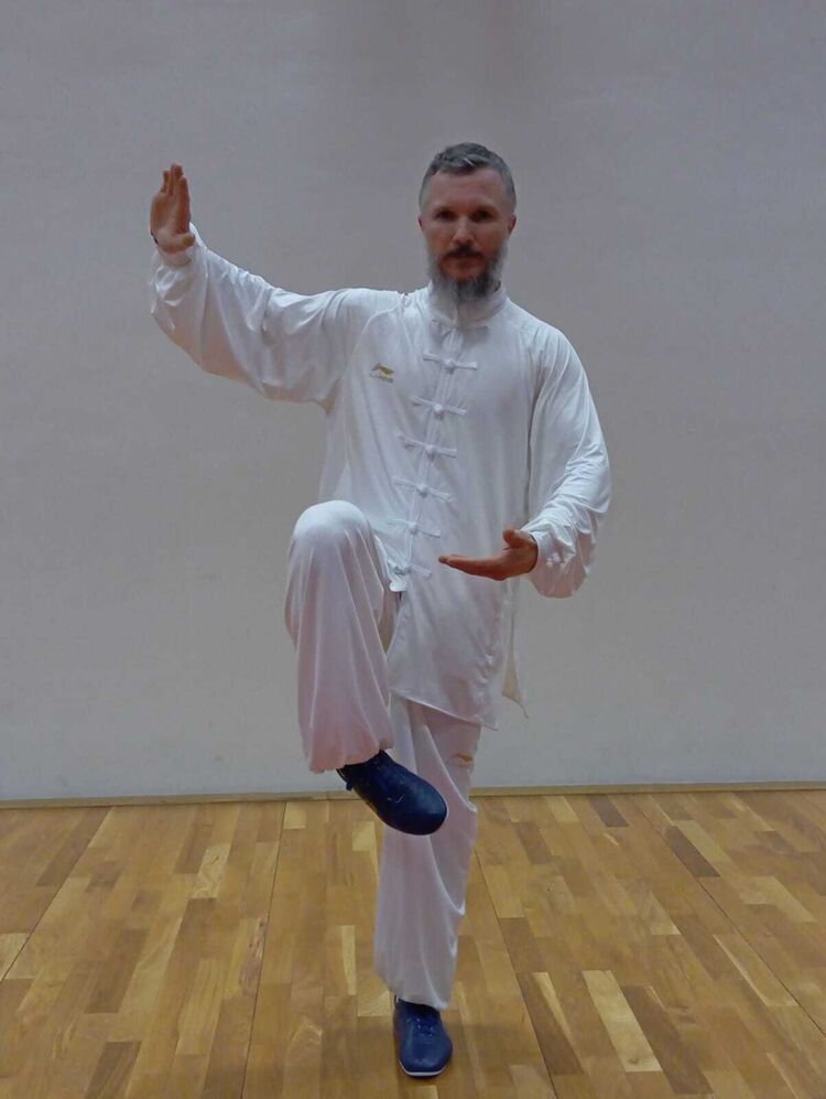 ���������� ������������, ���� ������� �����, 40 ���, ������������ ��� ������, ����� � ���������, c�������� ���������