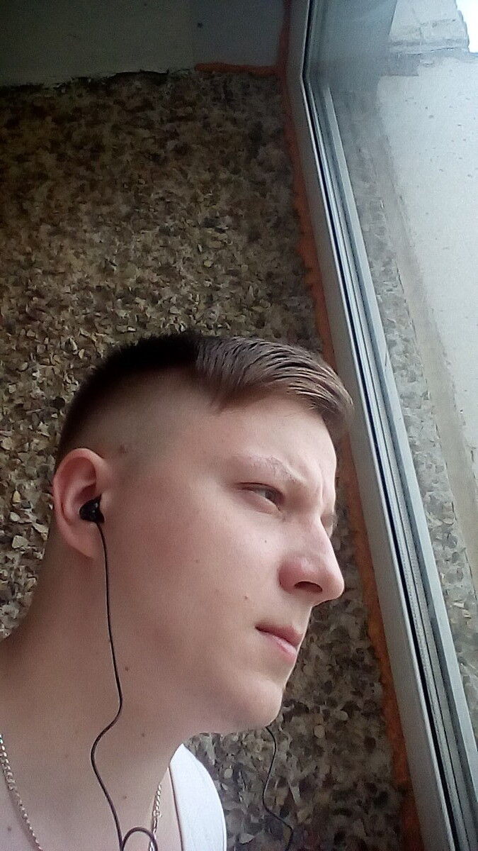  8334305  , 33 ,    