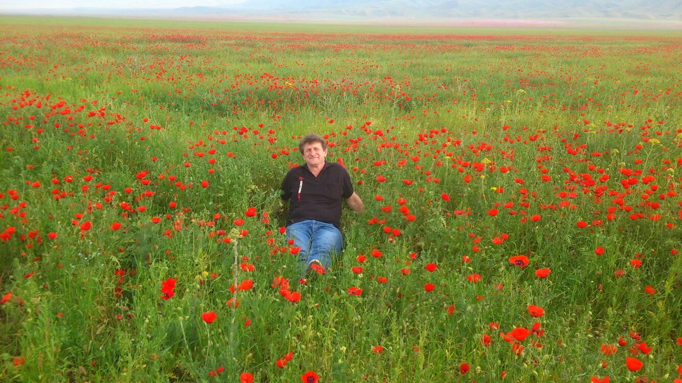 ���� 23151385 ������� ���, 53 ����, ���� ���������� � ������