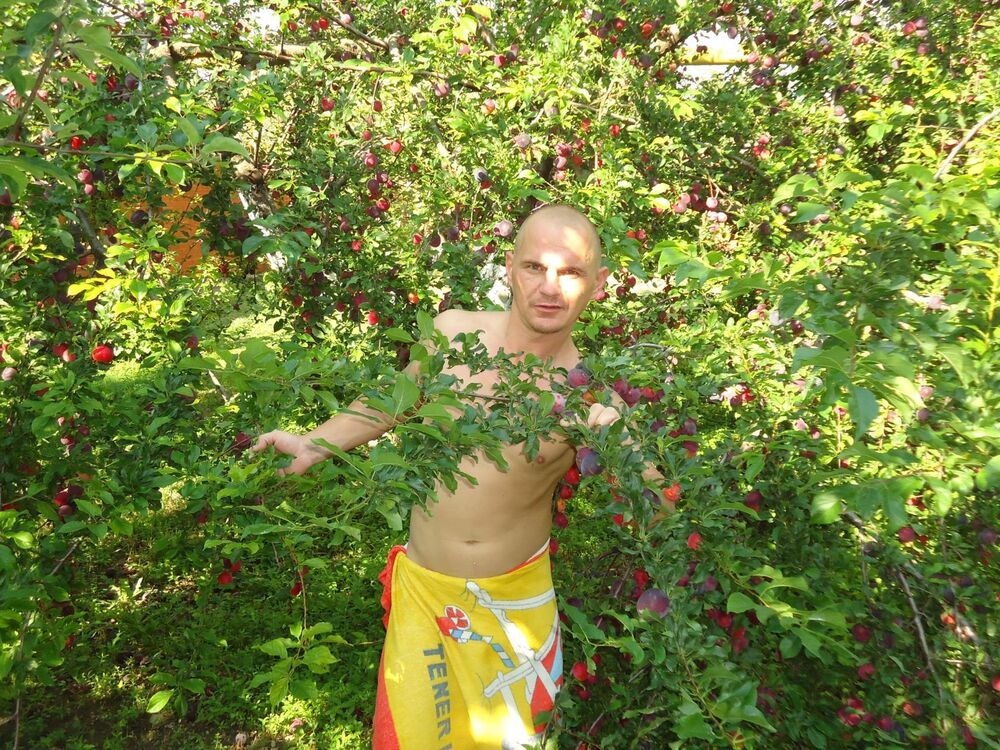 ���� 25004055 ������� �������, 45 ���, ���� ���������� � ������������