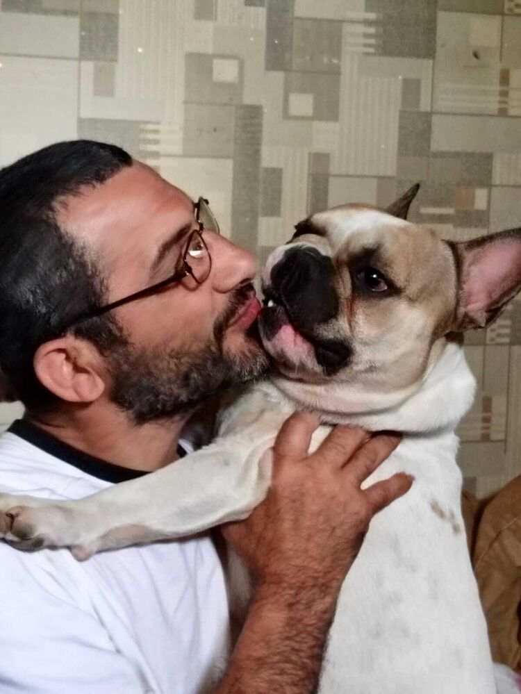 ���� 44205275 ������� ����, 38 ���, ���� ���������� � ������