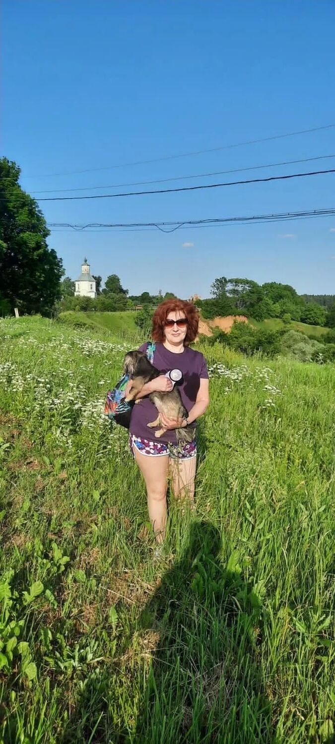 ���������� ������, ���� ������� ��������, 54 ����, ������������ ��� ������, ����� � ���������, c�������� ���������