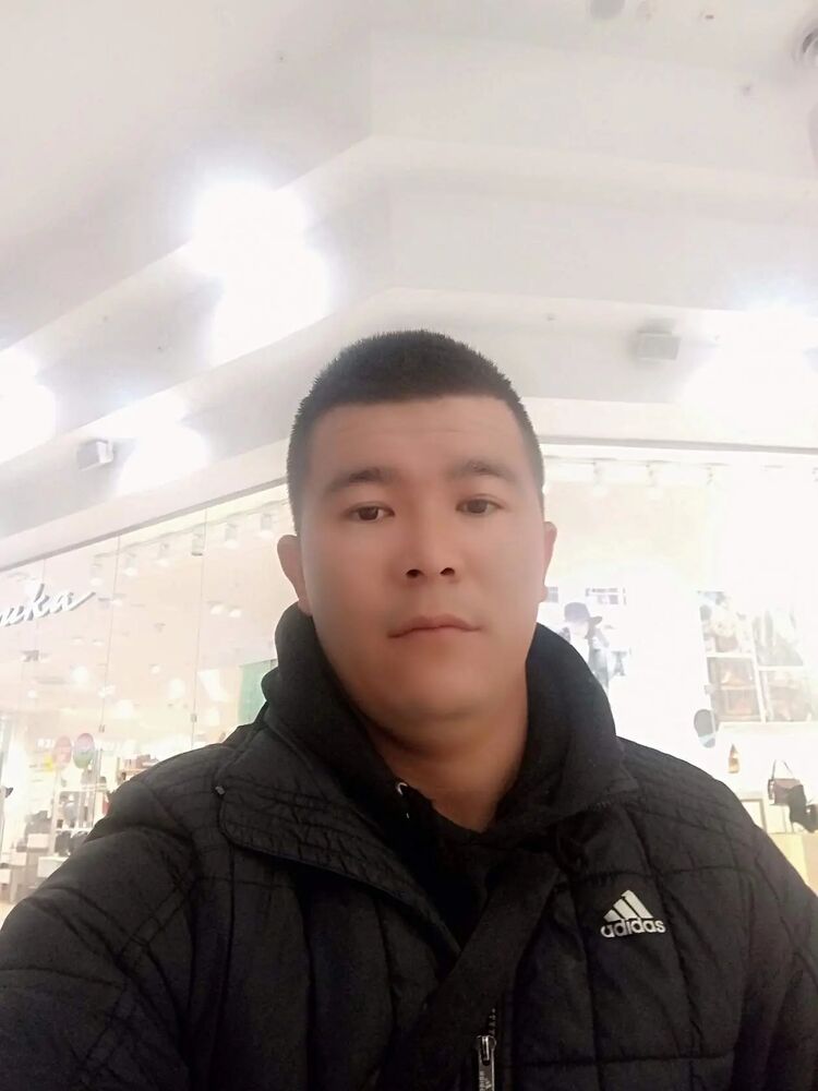  29457565  , 32 ,    