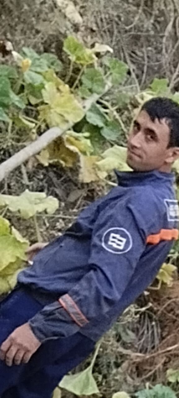  47456515  , 33 ,    