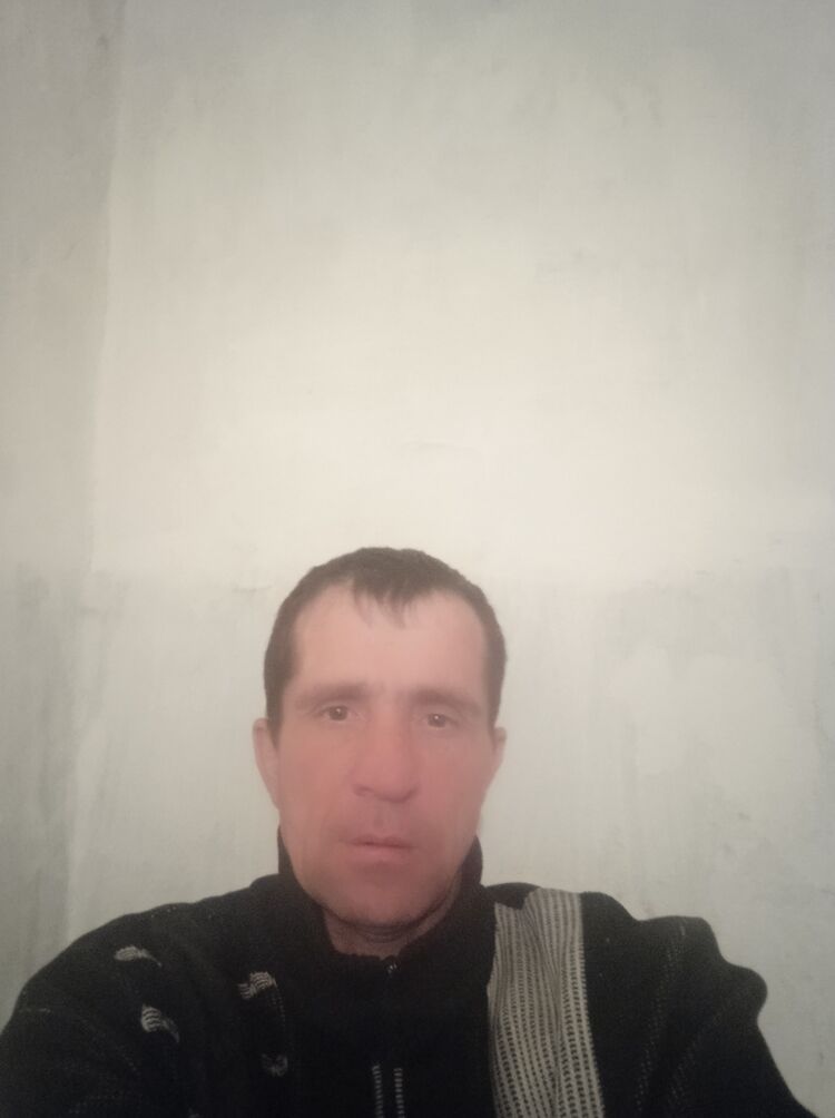  24215885    , 46 ,    
