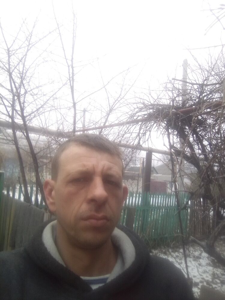  22335535  , 43 ,    