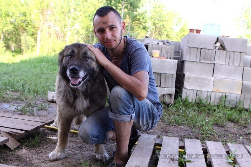 ���� 24031415 ������� ������, 36 ���, ���� ���������� � ������