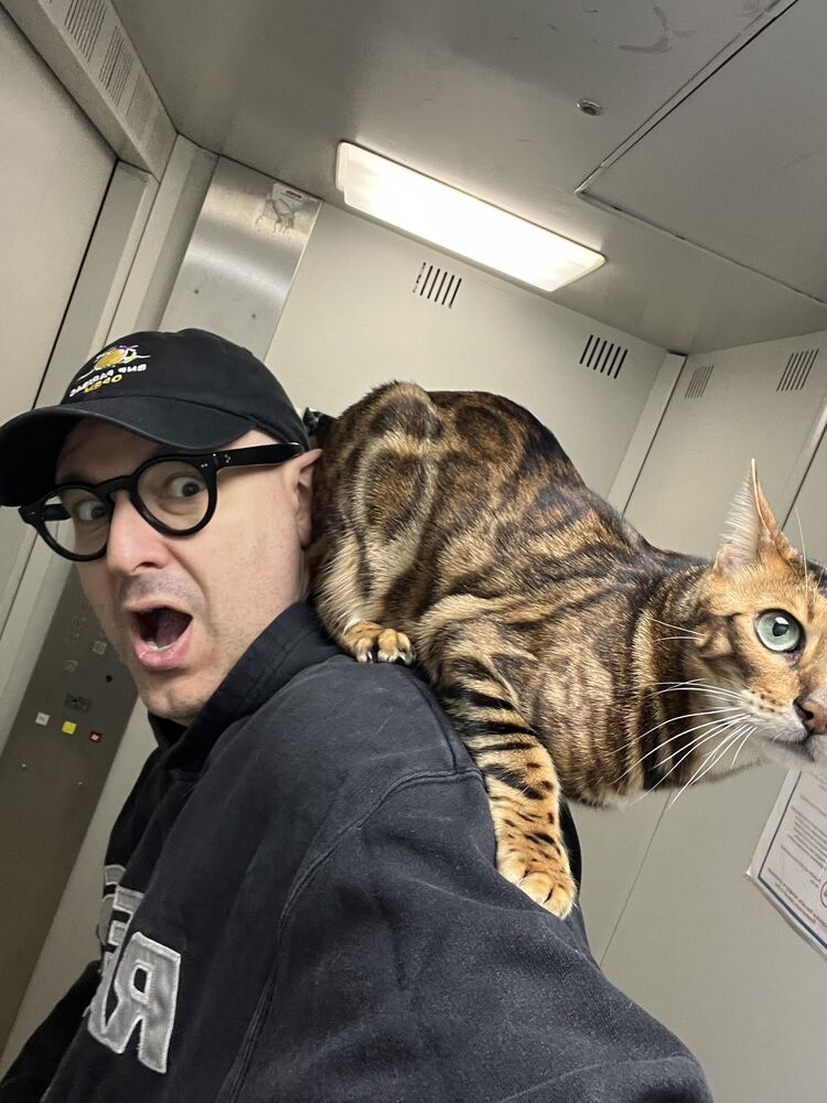 ���������� ������, ���� ������� ������, 49 ���, ������������ ��� ������, ����� � ���������