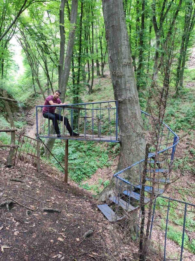 ���� 29464125 ������� VASO, 31 ���, ���� ���������� � ������