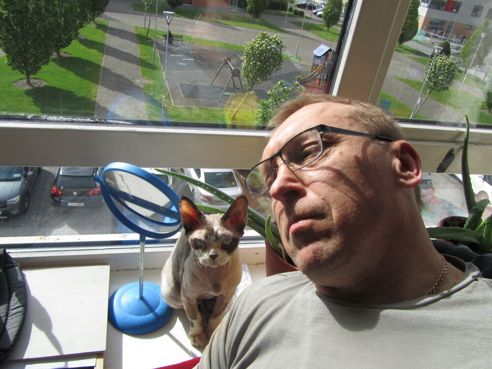  Leixlip,   , 44 ,   ,   