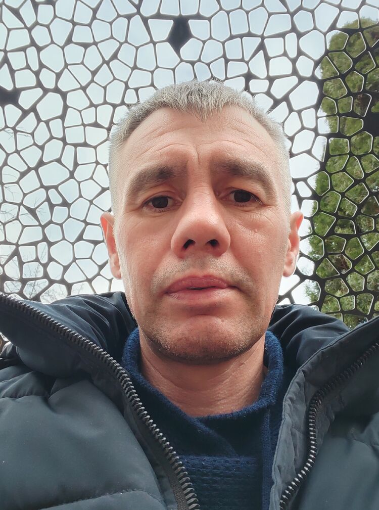  51087065  , 43 ,    