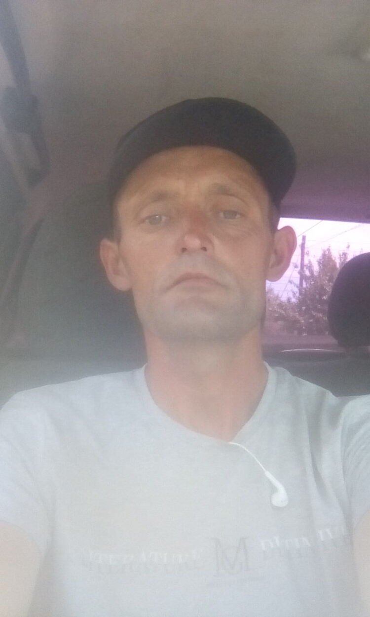  23688235  , 43 ,    