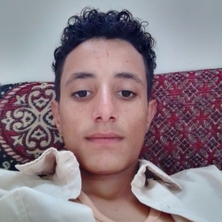  51163325  , 19 ,    