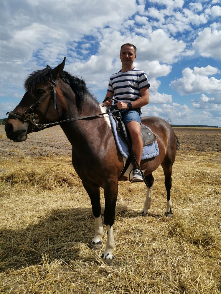 ���������� �����, ���� ������� Sergey, 39 ���, ������������ ��� ������, ����� � ���������, c�������� ���������