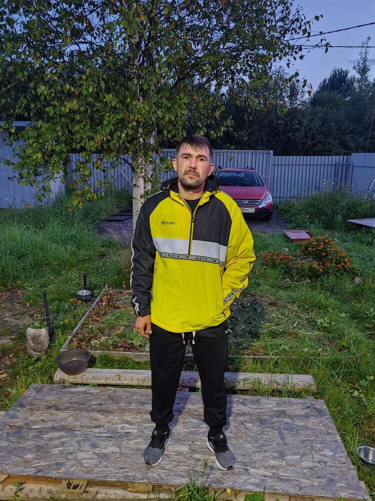  45297685  , 43 ,    