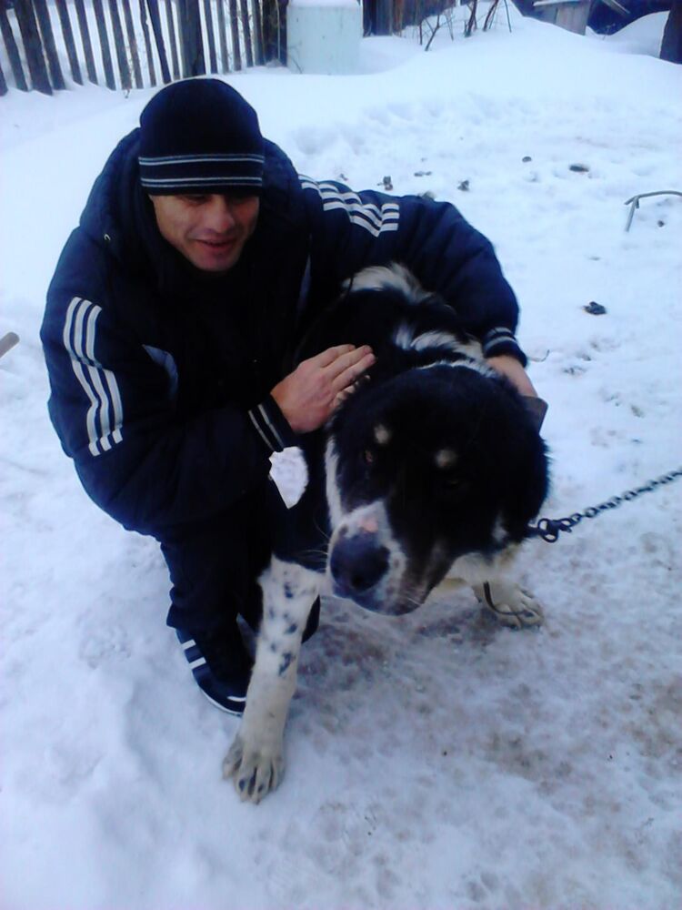 ���������� ����, ���� ������� ��������, 49 ���, ������������ ��� ������, ����� � ���������